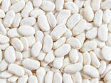 Фасоль Quality 3D beans from Kyrgyzstan - photo 6