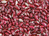 Фасоль Quality 3D beans from Kyrgyzstan - photo 7