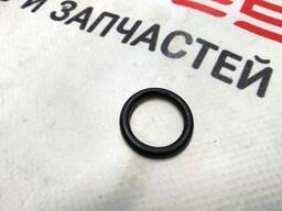 2Уплотнительное кольцо заглушки редуктора мотора Tesla model S 1005609-00-Z