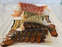 Aukšta kokybė ir geriausios rinkos kainos Frozen Lobster / Frozen Lobster