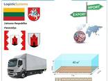 Автотранспортные грузоперевозки из Паневежиса в Паневежис с Logistic Systems - фото 6