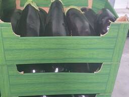 Баклажаны (производство Польша)