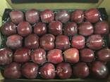 Best apples from Poland wholesale - photo 3