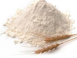 Buy Best Quality Wheat Flour - Wholesale Cheap Wheat Flour For Sale - wheat flour 50kg