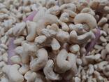 Cashew Nuts from Vietnam - фото 2