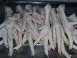 Chicken Feet and chicken paws and whole halal chicken at the best prices with prompt shipp - фото 2