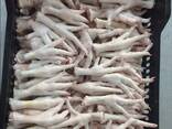 Chicken Feet and chicken paws and whole halal chicken at the best prices with prompt shipp - фото 3