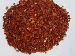 Dried Paprika and green production