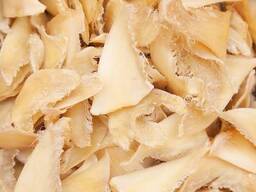 Dried Shark Fins