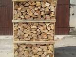 FireWood - фото 6