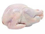 Frozen Chicken for sale Halal Frozen Whole Chicken - фото 2