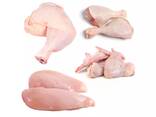Frozen Chicken for sale Halal Frozen Whole Chicken - фото 3
