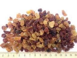 Изюм Голден - Чалифар