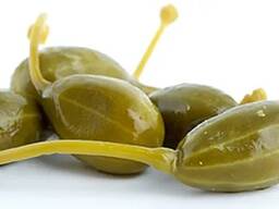 Каперсы из Узбекистана