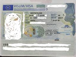 Косультация (Vander Elst Visa, ЕSDK, LLG ir kt. )