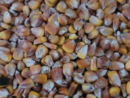 Купим на экспорт в Литву