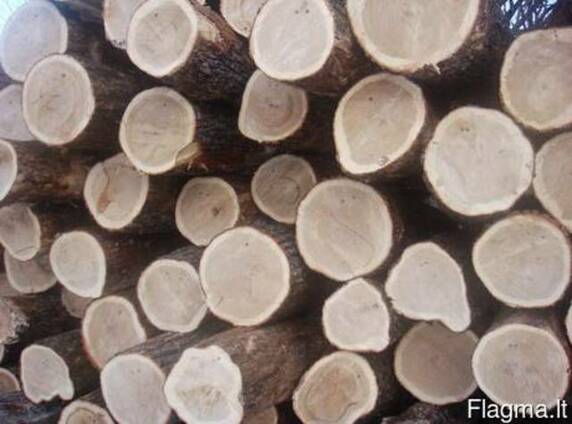 Куплю - Куплю неколотые дубовые дрова, брёвна