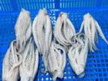 Мороженные морепродукты и рыба в Литву от завода из Китая - фото 2