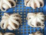 Мороженные морепродукты и рыба в Литву от завода из Китая - фото 7