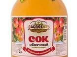 Natural juice from Kazakhstan - photo 1