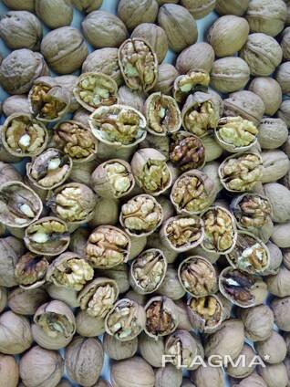 Орех грецкий