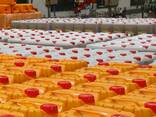 Palm Oil - фото 1