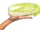 Beijing cabbage from Uzbekistan - photo 2
