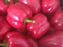 Перец красный, зеленый, желтый;острый (пр-во Польша)