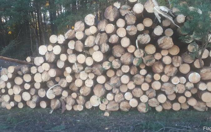 Пиломатериал