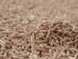 Premium wood pellets - фото 3
