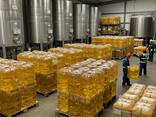 Pure Sunflower Oil for Frying High Smoke Point Anti-Foaming for Meat &amp; Fries for Gast - фото 3