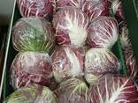 Aukščiausios kokybės radicchio (kilmės šalis – Lenkija) - фото 3