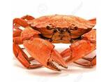Red King Crab - фото 1