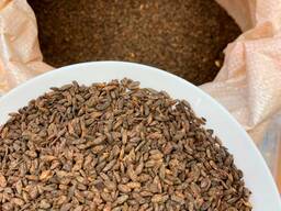 Sausas fermentuotas ruginis salyklas.