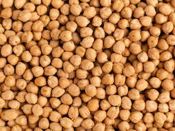 Siūlome avinžirnius