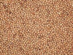 Siūlome raudonąsias ir žaliąsias lęšius