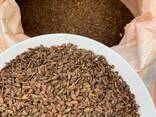 Sausas fermentuotas ruginis salyklas. - фото 1