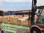 Suapvalinti rąstai (kirtimai) - gamyba Ukrainoje ir tiekimas į Vokietiją, Europą, Aziją - photo 6