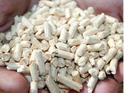 White wood pellets