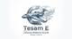 Tesam E, UAB